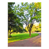 Impression Photo Arbres Dans Le Parc D'Ottawa. Commandez dès mainte (Devant)