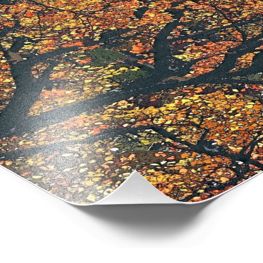 IMPRESSION PHOTO ARBRES D'AUTOMNE (Coin)