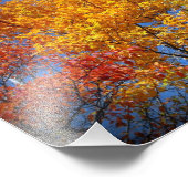 Impression Photo Arbres d'automne colorés (Coin)