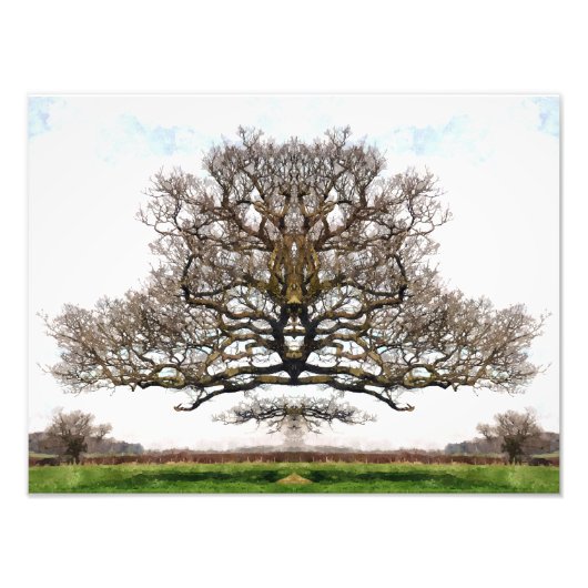 IMPRESSION PHOTO ARBRES DE PRINTEMPS (Devant)