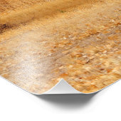 Impression Photo Arbres d'or (Coin)