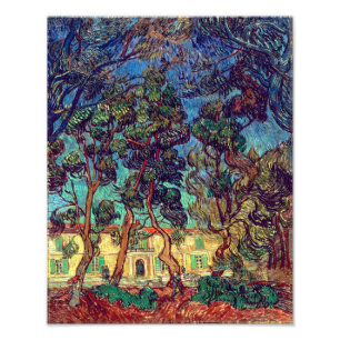 Impression Photo Arbres du jardin de l'hôpital Van Gogh