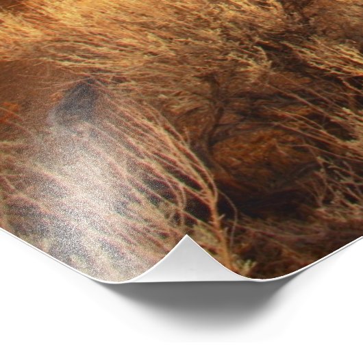 Impression Photo Arc en ciel (Coin)