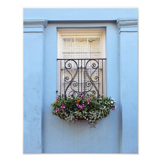 Impression Photo Arc-en-ciel Boîte à fleurs, Charleston, S.C. (Devant)