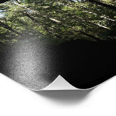 Impression Photo Arche forestière de Sandstone (Coin)