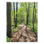 Impression Photo Arche murale (Devant)