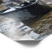 Impression Photo Archie et poulets (Coin)