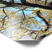 Impression Photo Arcs de lumière (Coin)