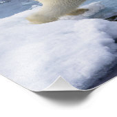 Impression Photo Arctique, Svalbard, Ours polaire s'étendant (Coin)