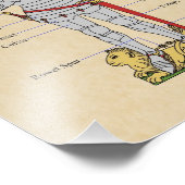 Impression Photo Armure de plaque médiévale Circa 1430 (Coin)