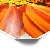 Impression Photo Around the Center (Coin)