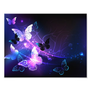 Impression Photo Arrière - plan avec papillons de nuit