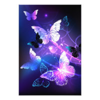 Arrière - plan avec papillons de nuit