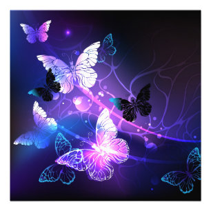 Impression Photo Arrière - plan avec papillons de nuit