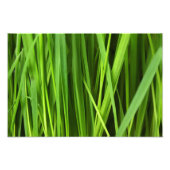 Impression Photo Arrière - plan vert (Devant)