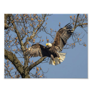 Impression Photo Arrivée