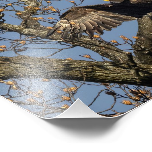 Impression Photo Arrivée (Coin)