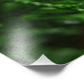 Impression Photo Arrosage sur une branche d'arbre (Coin)