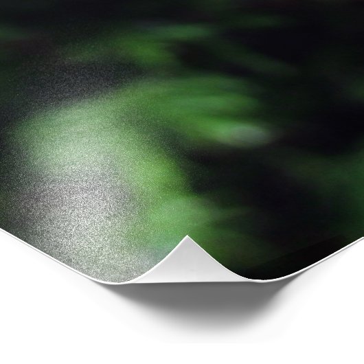 Impression Photo Arrosage sur une branche d'arbre (#2) (Coin)