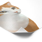 Impression Photo Art de chat roux adorable (Coin)