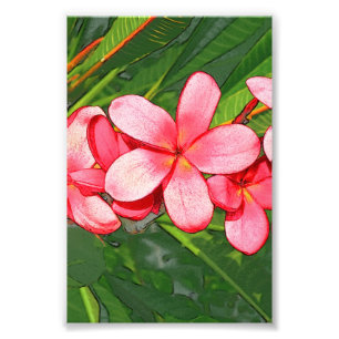 Impression Photo Art de Frangipanier Tropical Rose