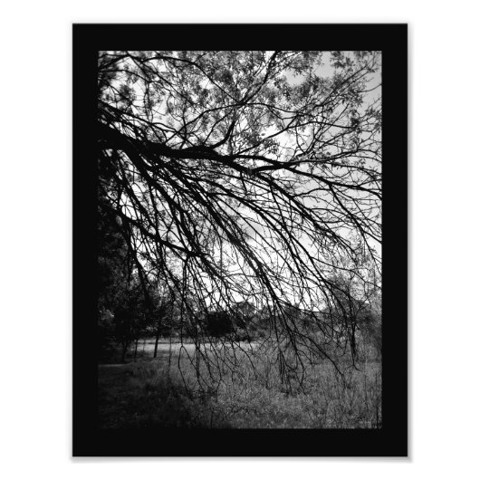 Impression Photo Art de la nature (Devant)