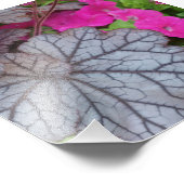 Impression Photo Art de la nature (Coin)