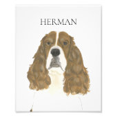 Impression Photo Art de l'Épagneul Springer Anglais Rouge et Blanc (Devant)