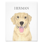 Impression Photo Art du Labrador jaune (Devant)