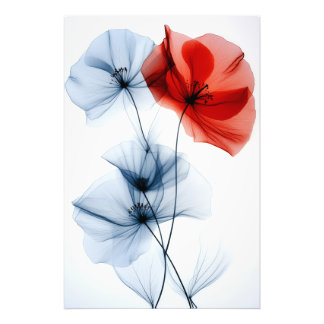 Impression Photo Art minimaliste moderne, fleurs translucides