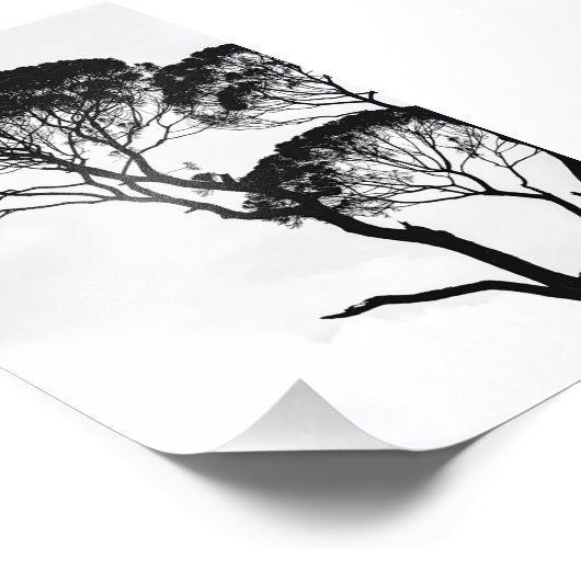 Impression Photo Art mur (Coin)