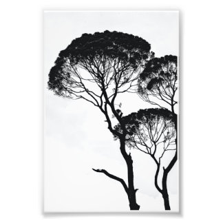 Impression Photo Art mur