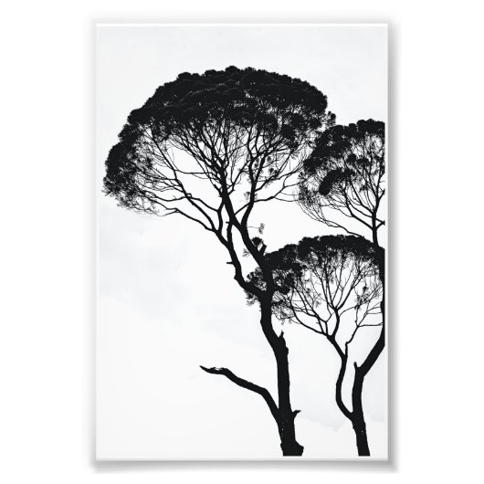 Impression Photo Art mur (Devant)