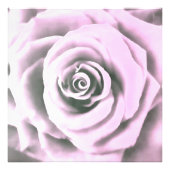 Impression Photo Artistic Rose rose rb (Devant)