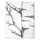 Impression Photo Aspen  (Devant)