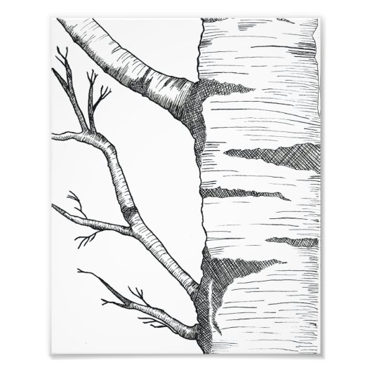 Impression Photo Aspen  (Devant)