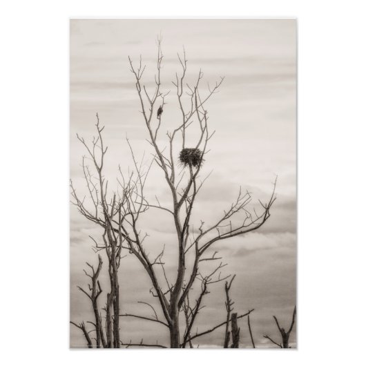 Impression Photo Attente de la vie (Devant)