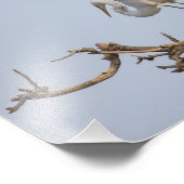 Impression Photo Atterrissage d'aigrettes blanches dans l'arbre (Coin)