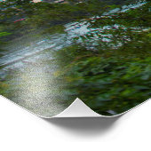 Impression Photo Austin, Texas Bats (Coin)