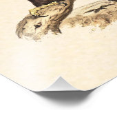 Impression Photo Australian Wedge Taillit Aigle. Immense Oiseau de  (Coin)