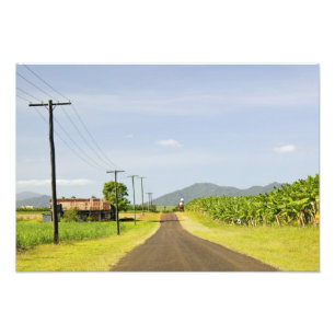 Impression Photo Australie, Queensland, North Coast, Babinda.