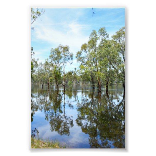 Impression Photo Australie The River Murray, (Devant)
