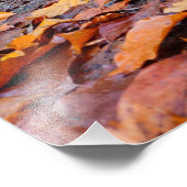 Impression Photo Automne (Coin)