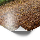Impression Photo Automne (Coin)
