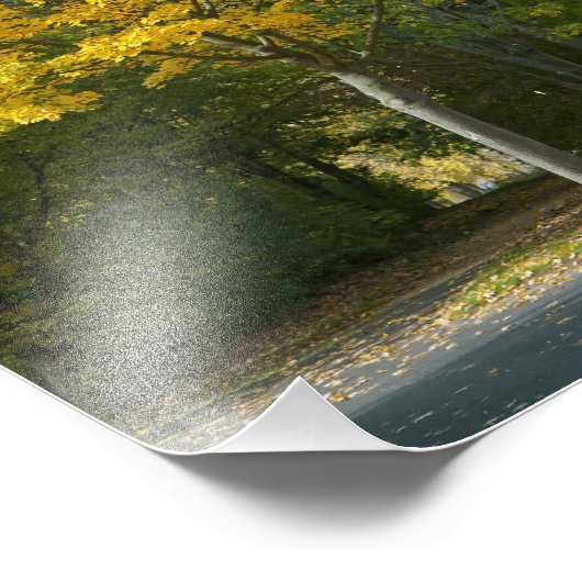 Impression Photo Automne (Coin)