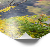 Impression Photo Automne de Bald Eagle (Coin)