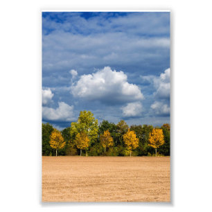 Impression Photo Automne d'or