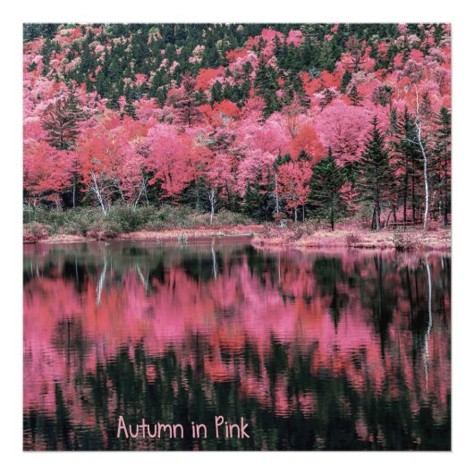 Impression Photo Automne en rose (Devant)
