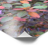 Impression Photo Automne Feuillage Automne Feuilles Nature Arbre Ph (Coin)