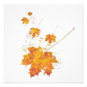 Impression Photo Automne Feuille Forêt Sauvage Nature Monde Terre V